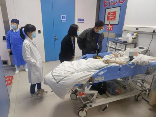 救助21人次 金山 寒冬送温暖 专项救助工作完成