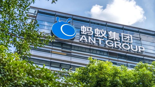滴滴被调查后,哈罗撤销赴美上市申请,背后有何猫腻