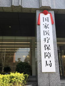 好消息 刚刚,国家医保局正式挂牌啦